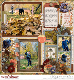 allyanne_SplendidSeason_01_WM.jpg