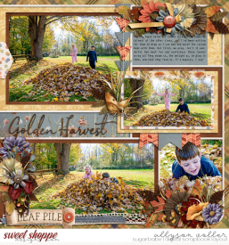 allyanne_SplendidSeason_02_WM.jpg