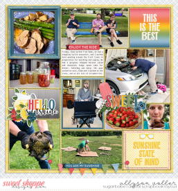 allyanne_SunshineReady_02_WM.jpg