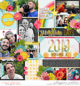 allyanne_SunshineonMyFace_Palooza68_01_WM.jpg