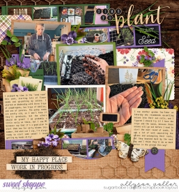 allyanne_SweetSteals_BeautifulGarden_01_WM.jpg