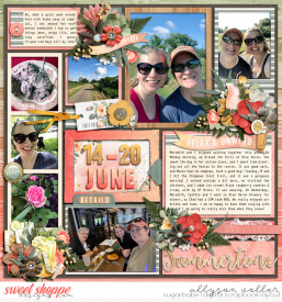 allyanne_SweetTea_Sunshine_01_WM.jpg