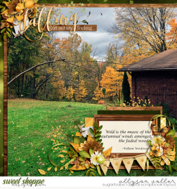 allyanne_ThisorThatOct2023_13B_Quote_WM.jpg