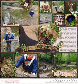 allyanne_TimetoBloom_projectMarch_01_WM.jpg