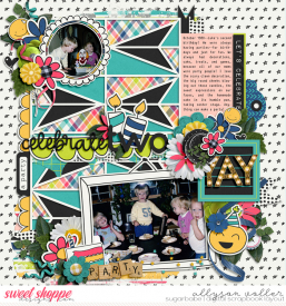 allyanne_TrioPack110_AlwaysCelebrate_01_WM.jpg