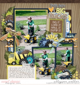 allyanne_Trucks_01_WM.jpg