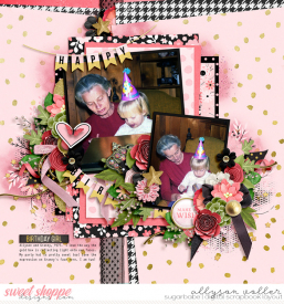 allyanne_TwoofHearts5_01ItsMyBirthdayToo_01_WM.jpg