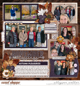 allyanne_UA10_NovemberBlessings_OBG_right_WM.jpg