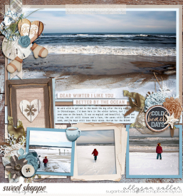 allyanne_WinterBeach_01_WM.jpg