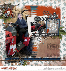 allyanne_blended6pak5_01_HeyToughGuy_01_WM.jpg