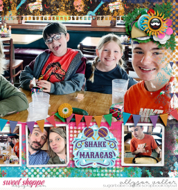 allyanne_ljs-2sidesblended4-2--RIGHT-WM.jpg