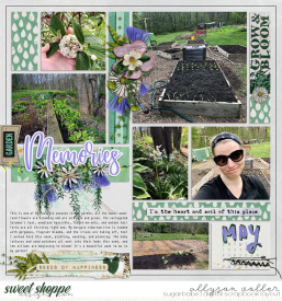 allyanne_notedVol3_01_WM.jpg