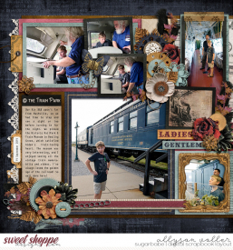 allyanne_palooza73left_WM.jpg