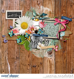 amongthewildflowersWebWM.jpg