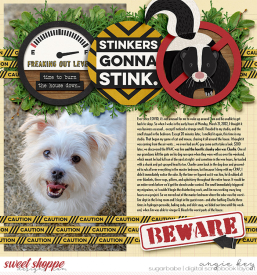 angiekey-2022-05-Stinker-wmark.jpg