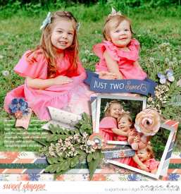 angiekey-202304-TwoSweet-wmark.jpg