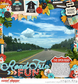 angiekey-RoadTripFun-20220716-wmark.jpg