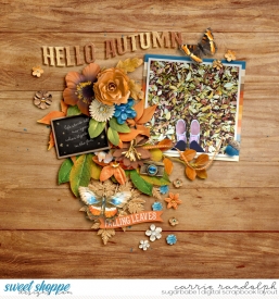asf-fallenleaffablesWebWM.jpg