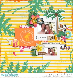 atw-hawaiiWebWM.jpg