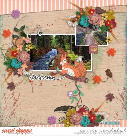 autumntrails_pictureperfectWebWM.jpg