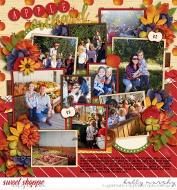 babelayout_hollyxann_appleorchard_web.jpg