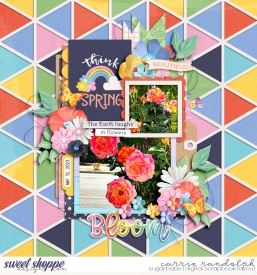 bb3_cc2_ThinkSpringWebWM.jpg