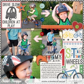bigboybike-ez0725b.jpg