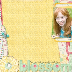 blossom2.jpg