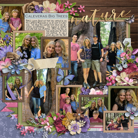 caleveras-big-trees700web.jpg