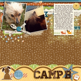 camp_b_4-9_PST_7.jpg