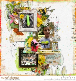 char_CYOA-May-BeesButterflies_Bugs_wm.jpg