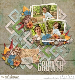 char_SD-ChangingSeasons_cschneider-TP128_wm.jpg