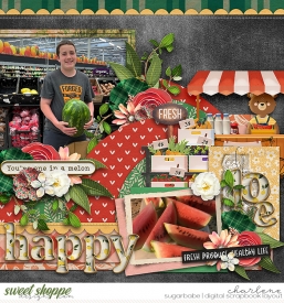 char_SD-FarmersMarket_cschneider-TAN2photoV3_wm.jpg