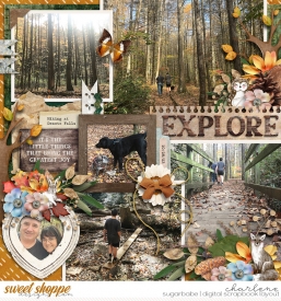 char_SD-Woodland-Whimsical-kit_cschneider-set296_wm.jpg