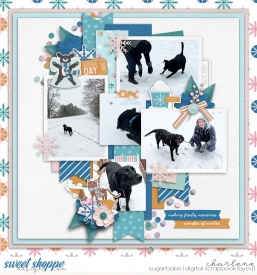 char_bbonneville-snowmuchfun_ljs-4story-5photos_wm.jpg