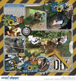 char_bg-happyhobby-diy_cschneider-palooza430_wm.jpg