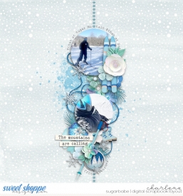 char_bg-happyhobby-skiing_Soco-CircledNo6_wm.jpg