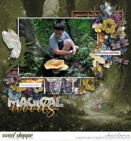 char_ck-fall-faeries8_fdd-DSD2024-tp_wm.jpg