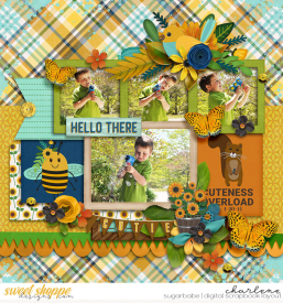 char_cmg-GoldenSunflower_aws-lessismoreV3_WM.jpg