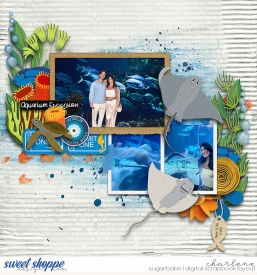 char_cmg-ocean-aquarium_wm.jpg