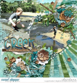 char_kcroninbarrow-creek-brooks_aws-heatwave_wm.jpg