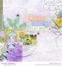 char_lbw-studioliv-sparklingspring_soco_lovetrianglesno10_wm.jpg