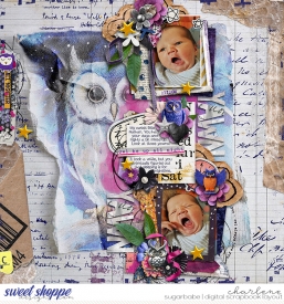 char_lbw-ts-nightowl_ts-artisantemp8_wm.jpg