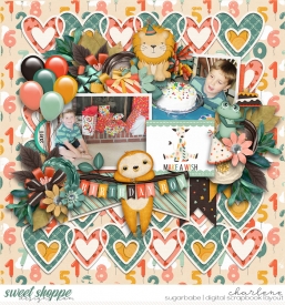 char_ljs-birthdayboy_cschneider-set298_wm2.jpg