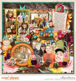 char_mcreations-FallBdayBash_cschneider-fantasticfall_WM.jpg