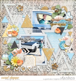 char_sbasic-jj-littlethingsthatbringusjoy_cschneider-TP138_wm.jpg