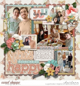 char_sbasic-soco-beautifulyou_cschneider-allinonesingle8_wm.jpg