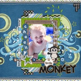 cheeky_little_monkey_copysmallb.jpg