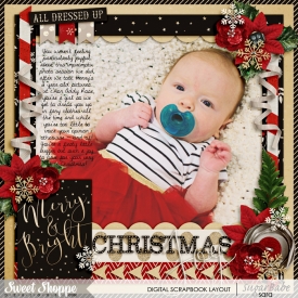 christmas-joy1wm.jpg