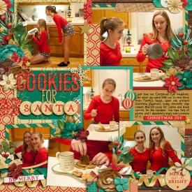 cookiesforsanta_700web.jpg